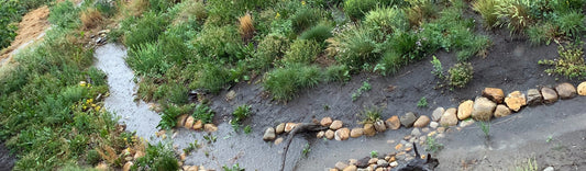 A small meandering stream lined with stones winds through a lush, planted riparian area featuring native grasses, sedges, and wildflowers, demonstrating a naturalized approach to water management and habitat restoration.