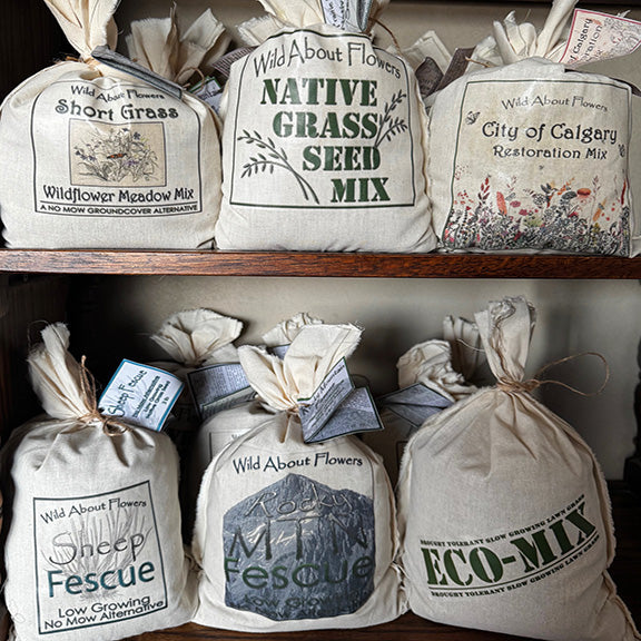 Cloth bags of native grass and wildflower seed mixes sit on wooden shelves, each labeled with names like "Eco-Mix" and "Sheep Fescue."