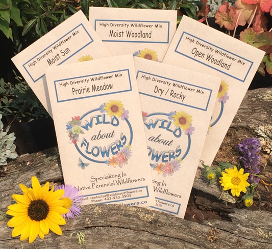 Five Wild About Flowers seed packets are fanned out on a rustic wooden surface, each labeled with a different High Diversity Wildflower Mix blend: Moist Sun, Moist Woodland, Open Woodland, Prairie Meadow, and Dry / Rocky. The packets feature a colorful floral wreath around the Wild About Flowers logo. Yellow and purple wildflowers are arranged beside the packets, complementing the earthy, natural setting.
