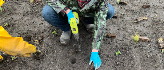 A person using a power drill with an auger bit to make planting holes in bare soil, wearing blue gloves and outdoor clothing.