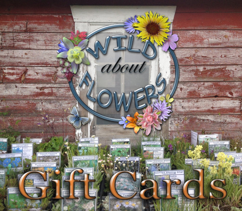 Wild About Flowers Gift Card