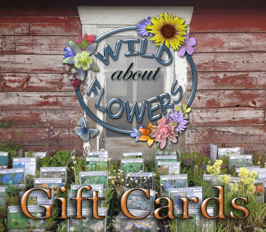 Wild About Flowers Gift Card