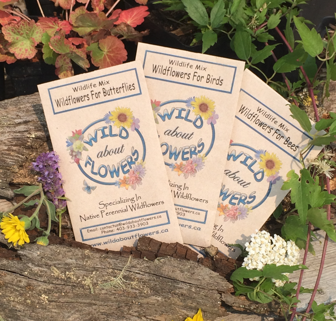 Three Wild About Flowers seed packets labeled Wildflowers for Butterflies, Wildflowers for Birds, and Wildflowers for Bees are propped against a weathered log. Each packet is decorated with a colorful floral wreath around the logo. Small clusters of yellow, purple, and white wildflowers are tucked around the packets, adding a vibrant touch to the rustic garden setting.