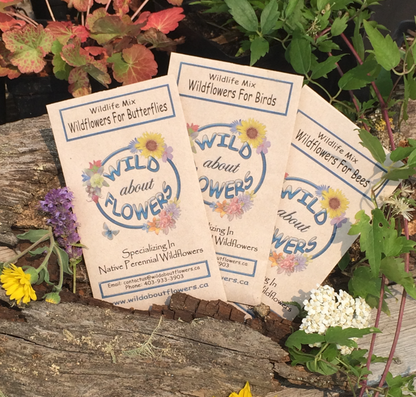 Three Wild About Flowers seed packets labeled Wildflowers for Butterflies, Wildflowers for Birds, and Wildflowers for Bees are propped against a weathered log. Each packet is decorated with a colorful floral wreath around the logo. Small clusters of yellow, purple, and white wildflowers are tucked around the packets, adding a vibrant touch to the rustic garden setting.
